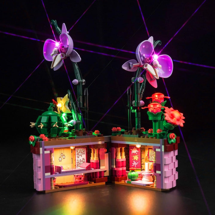 Led Licht Set für Lego Disney Encanto Isabelas Blumentopf (Kein Lego), Dekorationsbeleuchtungsset fü