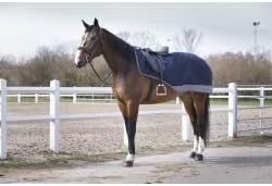 Equi-Theme Regen Nierendecke mit Polarfleecefutter 600D TYREX in 5 trendigen Farben marineblau/grau