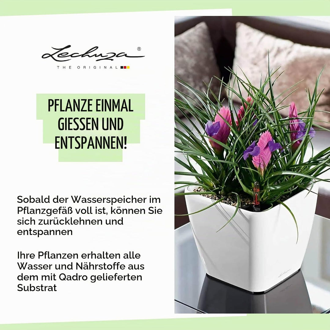 LECHUZA QUADRO Premium LS 50 weiss hochglanz 16280 50x50x47 cm Weiss Hochglanz, 50x50x47 cm Weiss Ho