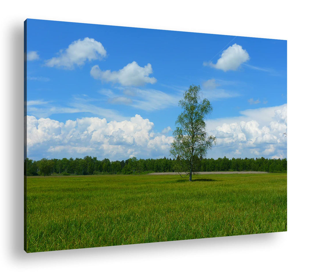 deyoli Wiese am Waldrand Format: 100x70 als Leinwandbild, Motiv fertig gerahmt auf Echtholzrahmen, H