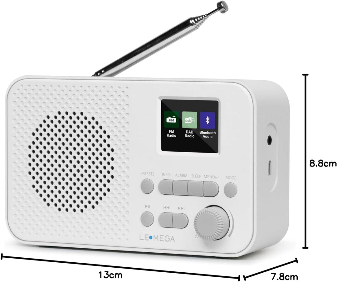 LEMEGA DAB GO Plus Radio (Steingrau, DAB GO) Steingrau DAB GO, Steingrau DAB GO