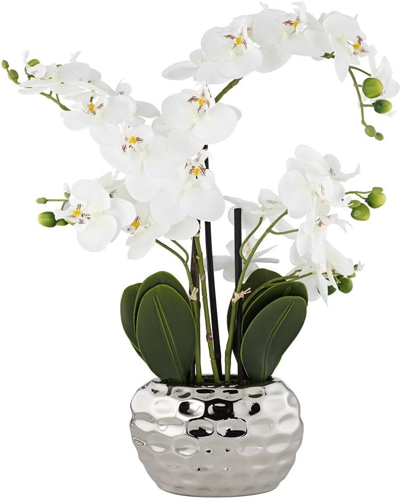 Dahlia Studios Kunstpflanze Orchidee Phalaenopsis mit silber-farbigem Keramiktopf - ca. 53cm hoch (w