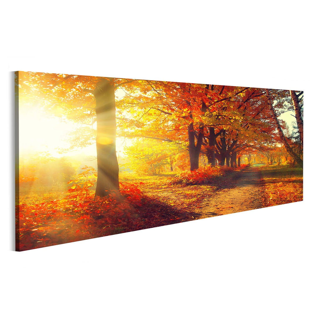 Bild Bilder auf Leinwand Herbst Herbst Park herbstliche Bäume und Blätter in Sonnenstrahlen Wandbild