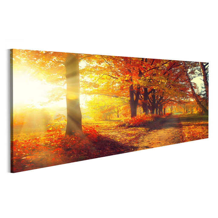 Bild Bilder auf Leinwand Herbst Herbst Park herbstliche Bäume und Blätter in Sonnenstrahlen Wandbild