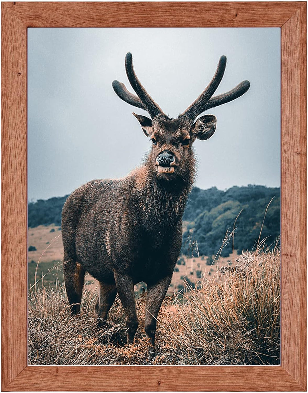 Rahmendesign24 Posterrahmen Rio 50x70 Eiche natur Fotorahmen, Wechselrahmen, Bilderrahmen, 50x70 Eic