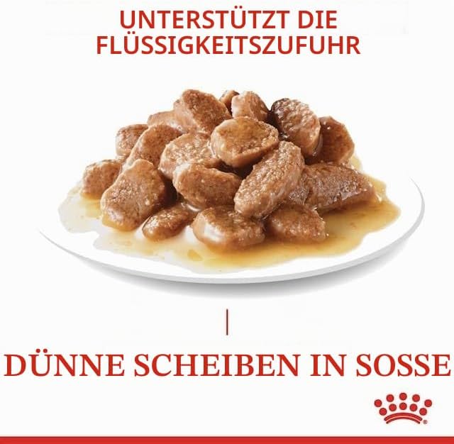 Royal Canin Urinary Care Gravy | Doppelpack | 2 x 12 x 85 g | Kleine Stückchen in Sosse | Zur Förder