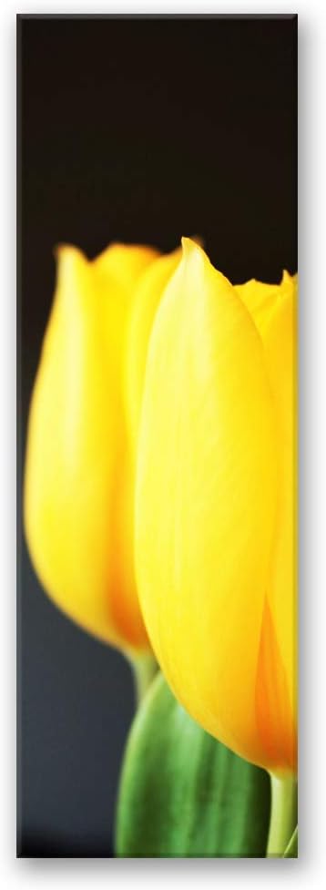 Feeby Bild auf Leinwand Tulpen Kunstdruck modern Blumen Gelb 30x90 cm Leinwandbild 30x90 cm Gelb_a,