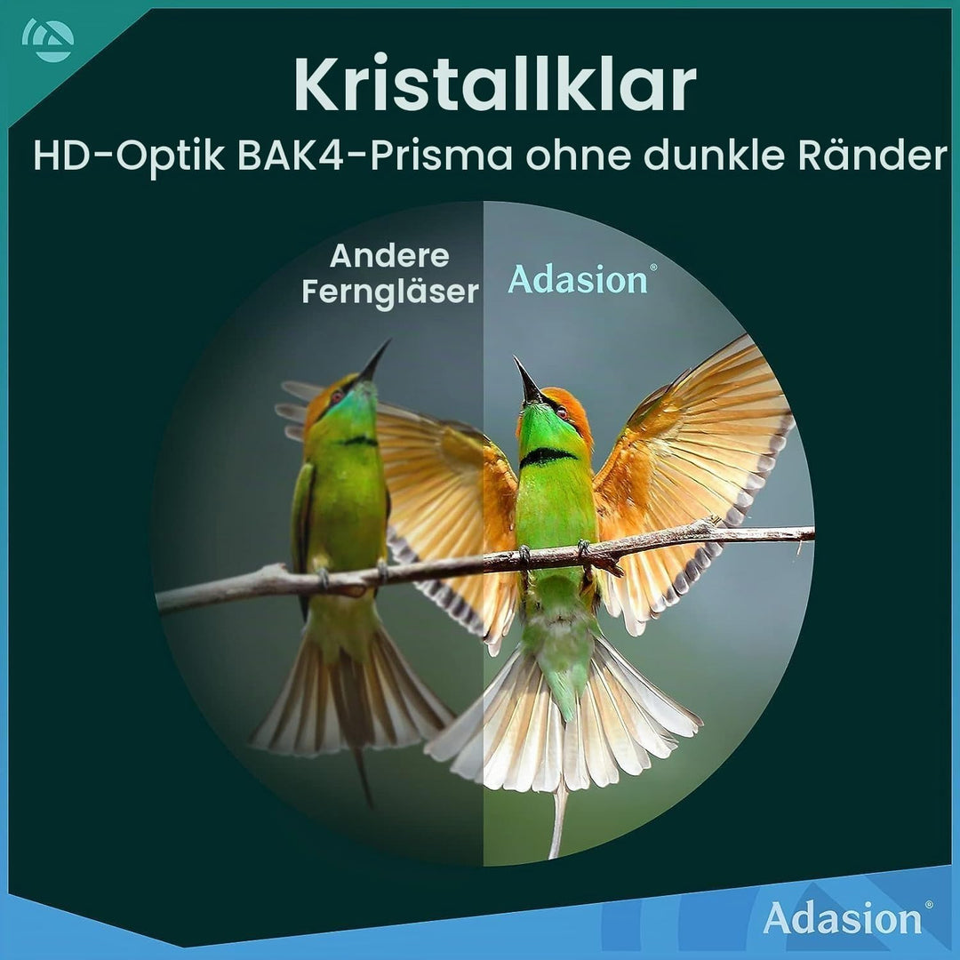 Adasion 12x42 HD Fernglas für Erwachsene mit Smartphone-Adapter und Teleskopstativ, Kompakt Fernglas