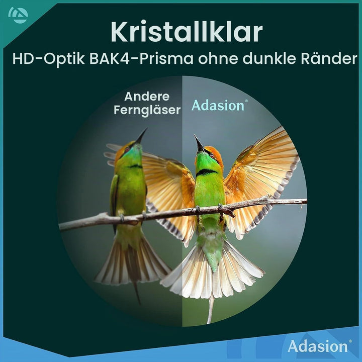 Adasion 12x42 HD Fernglas für Erwachsene mit Smartphone-Adapter und Teleskopstativ, Kompakt Fernglas