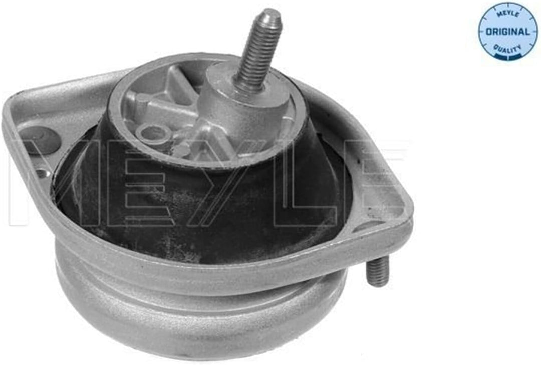 Meyle 300 221 1103 Lagerung, Motor