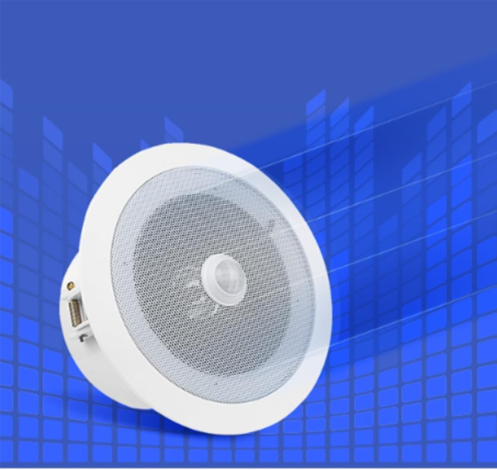 Deckenlautsprecher Overhead Motion Activated Audio Player PIR Ausgelöster Musikplayer mit Integriert