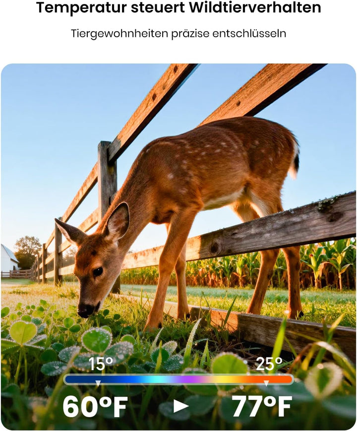 Misstech 4K 64MP UHD Solar Wildkamera mit Handyübertragung App, Klare Nachtsicht, Solar-autark, 0,1s