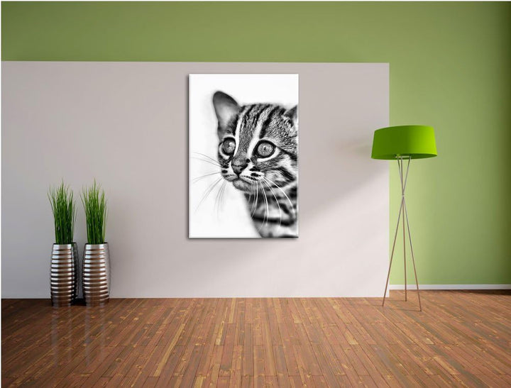 Pixxprint Monocrome, Junge Marmorkatze, Format: 100x70 auf Leinwand, 100x70