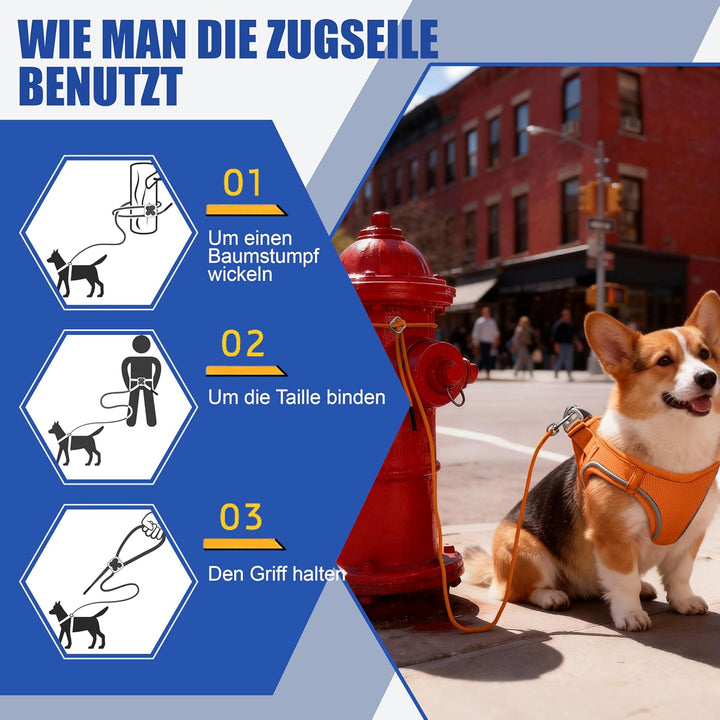 Hundegeschirr Mit Leine, Verstellbares Welpengeschirr Katzengeschirr, Reflektierendes Hundegeschirr