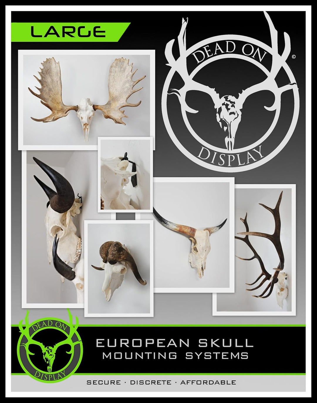 Dead On Display Large Euro Totenkopf Aufhänger, L