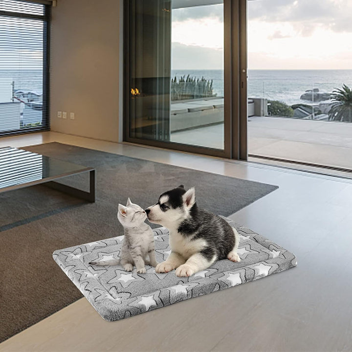 EMPSIGN Hundebett kleine Hunde, Waschbar Hundekissen (kühl und warm), Hundematte aus hochdichtem Sch