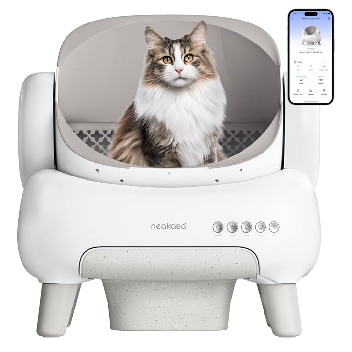 Neakasa M1 Plus Lite Selbstreinigende Katzentoilette mit offenes Design, XXL Kapazität Katzenklo, Ap