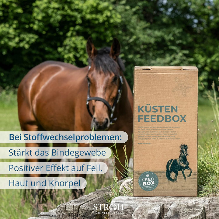STRÖH Kieselgur Gold Pferd (13kg Feedbox) • Zur Unterstützung von Stoffwechsel & Fellwachstum • Mine
