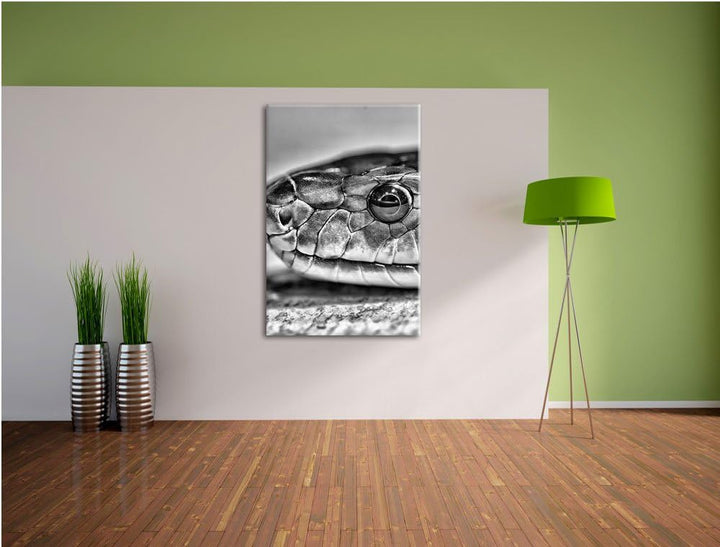 Pixxprint wachsame Natter / 100x70cm Leinwandbild bespannt auf Holzrahmen/Wandbild Kunstdruck Dekora