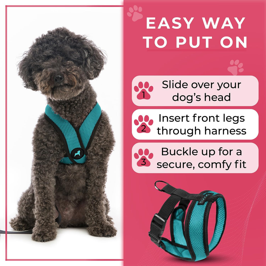 Gooby Comfort X Head in Harness,Türkis, Small, Patentierter Würgefreier X Rahmen,Unterwegs Hundegesc