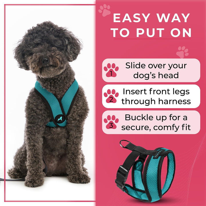 Gooby Comfort X Head in Harness,Türkis, Small, Patentierter Würgefreier X Rahmen,Unterwegs Hundegesc