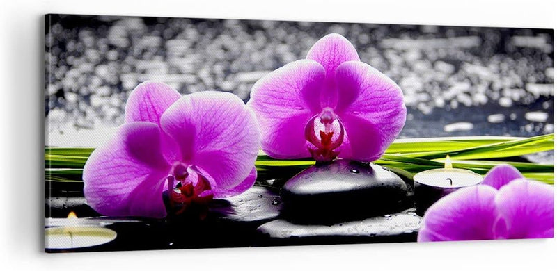 Panorama Bilder auf Leinwand 100x40cm Leinwandbild Orchidee Natur Wasser Blume Gross Wanddeko Bild S