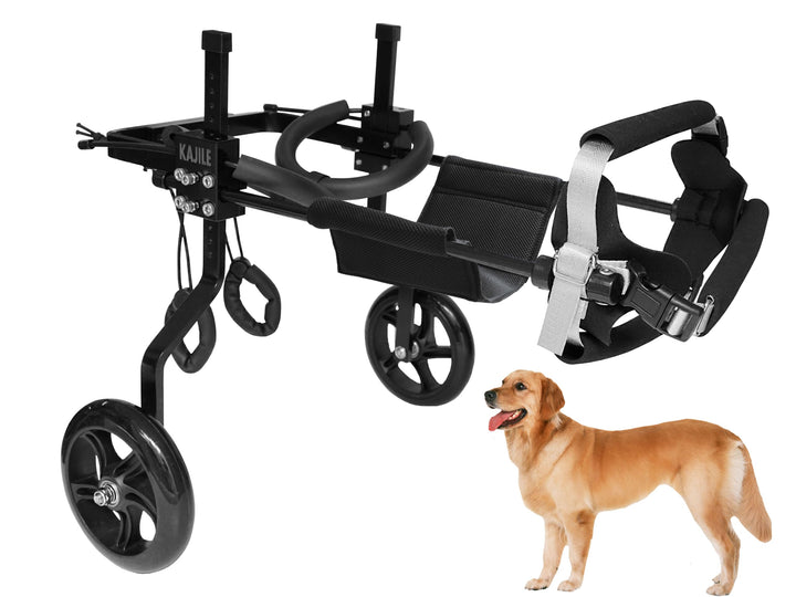 Einstellbare Hunde-Rollstuhl Cart für Schwache Hinterbeine, Rehabilitation & Training, Fit für Haust