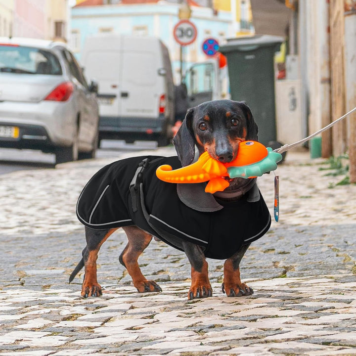 Hjyokuso Hundemantel Dackel, Winddichter Wasserdichter Wintermantel Für Dackel Hunde, Hundejacke Für