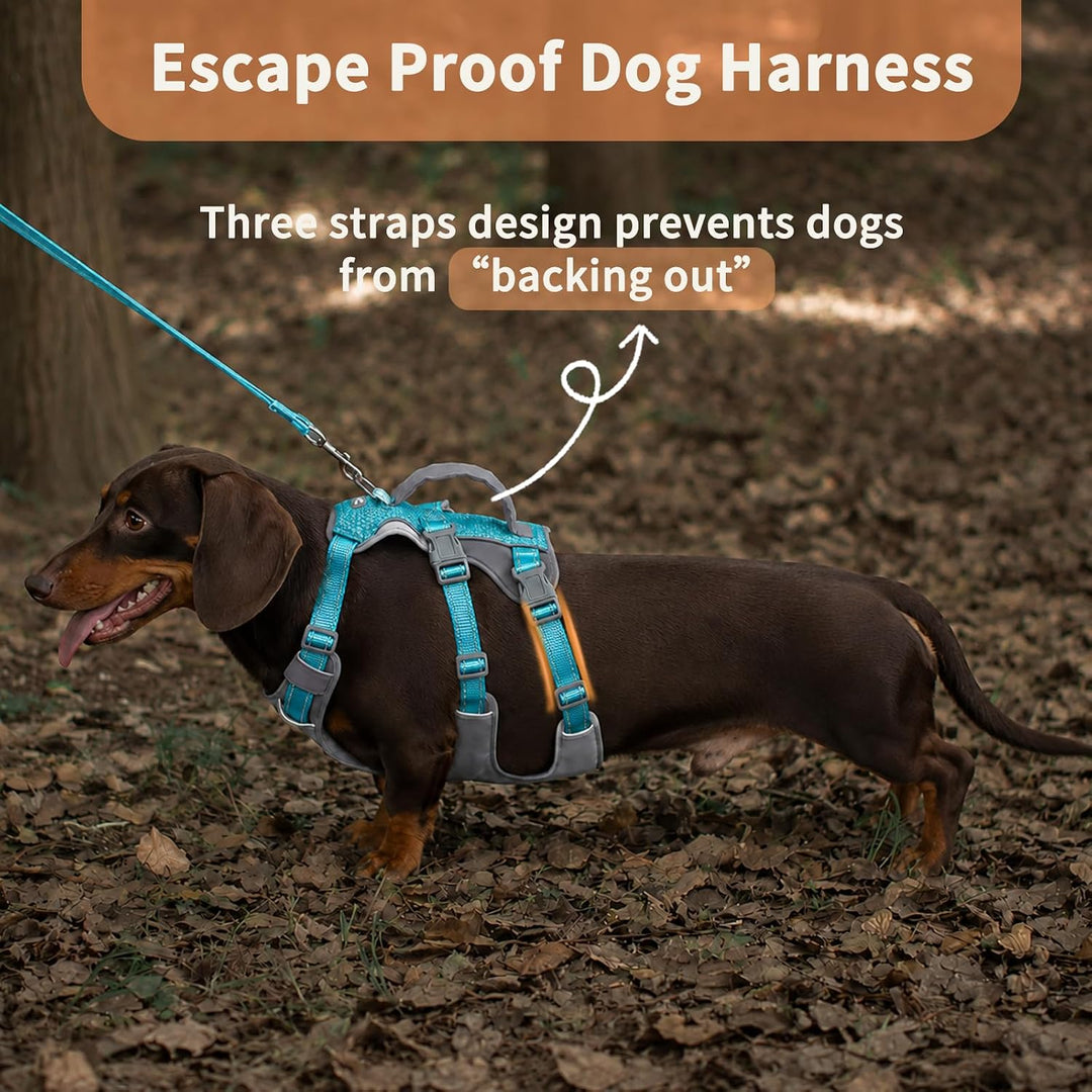 Huntboo Sicherheitsgeschirr Hund Ausbruchsicher, Panikgeschirr für Hunde, Reflektierendes Geschirr H