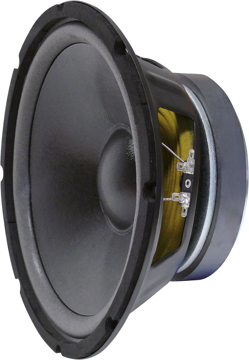10" 25cm 300W Tieftöner Woofer Kenford HW-1006