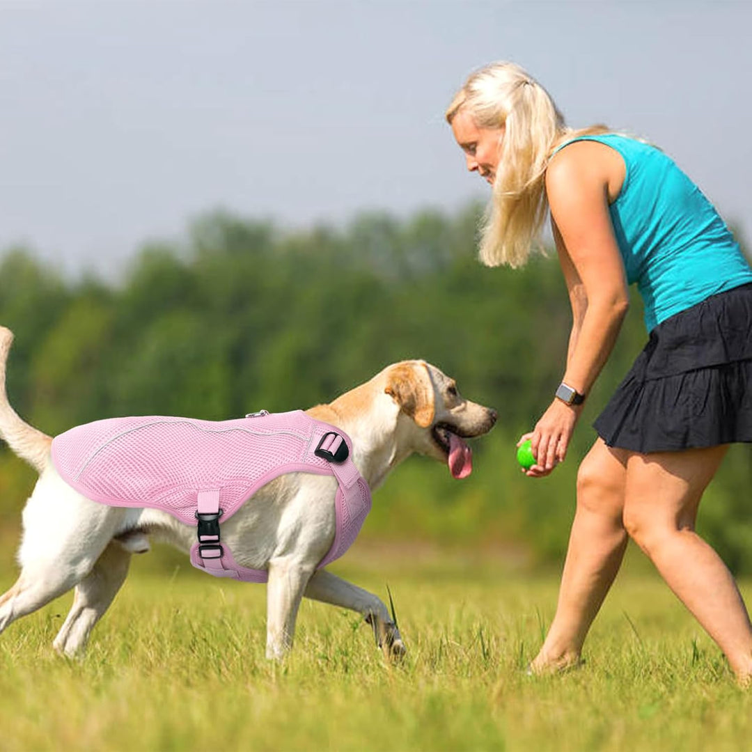 Kuoser Hund Kühlweste, Kühlweste für Hunde zur Abkühlung im Sommer, Atmungsaktive Hundekühlweste mit