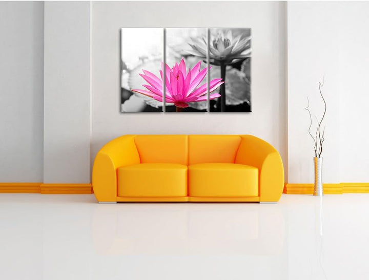 Pixxprint Lilafarbene Wasserlilie als Leinwandbild | Grösse: 3 Teilig (120x80) | Wandbild| Kunstdruc