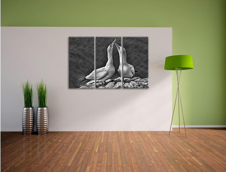 Pixxprint Monocrome, aussergewöhnliche Vögel am Meer 3-Teiler Leinwandbild 120x80 Bild auf Leinwand