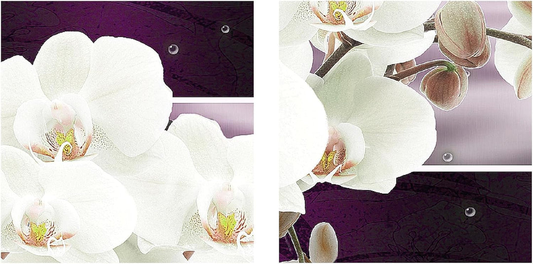 Runa Art Bild Modern Blumen Orchidee - Made in Germany - Wandbilder Abstrakt Violett Lila 4 Teilig 2