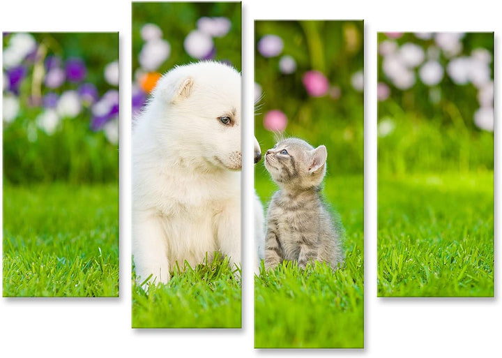 islandburner Bild auf Leinwand Kätzchen Küssen Weisse Schweizer Schäfer Welpen Auf Grünem Gras Wandb