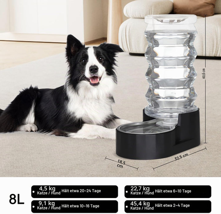 Sfozstra Lagre Schwerkraftspender für Hunde - 8L Schwarz Automatischer Edelstahl Wassernapf Waterer