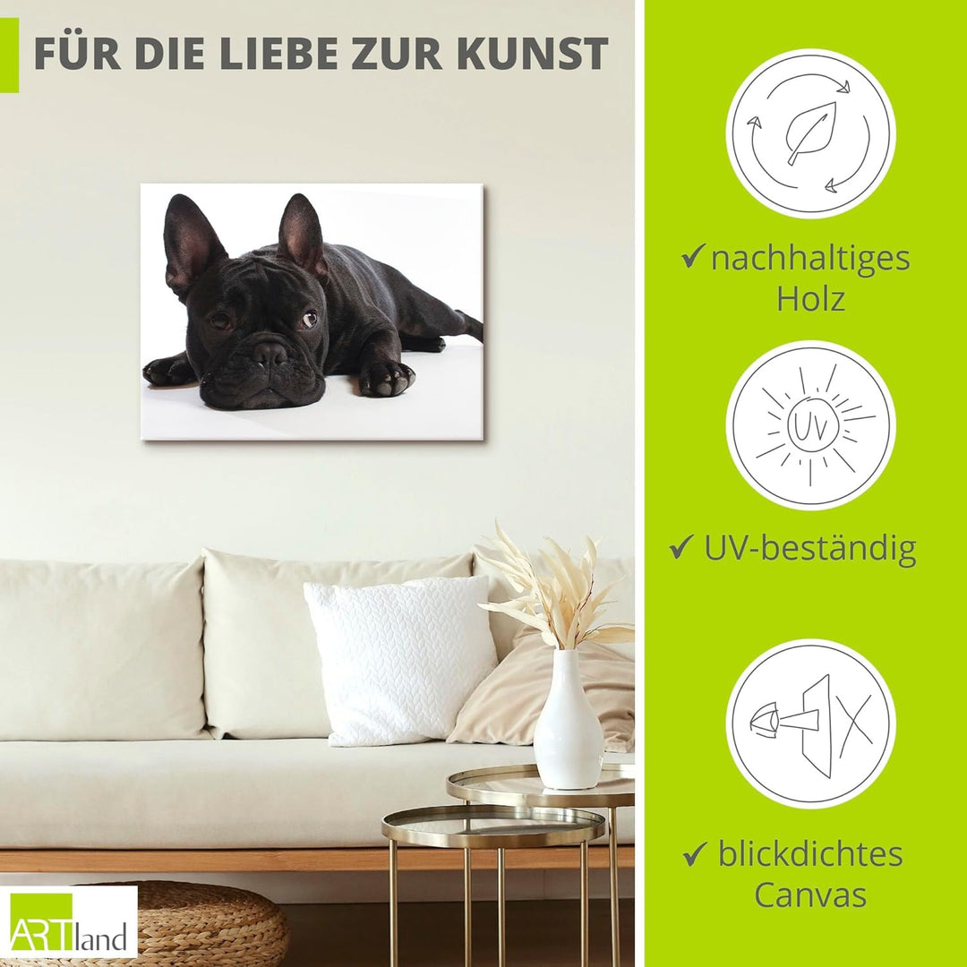 ARTland Leinwandbilder Wandbild Bild auf Leinwand 60x45 cm Tiere Haustiere Hund Fotografie Schwarz W