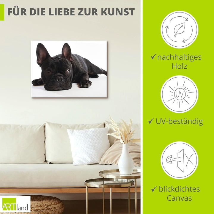 ARTland Leinwandbilder Wandbild Bild auf Leinwand 60x45 cm Tiere Haustiere Hund Fotografie Schwarz W