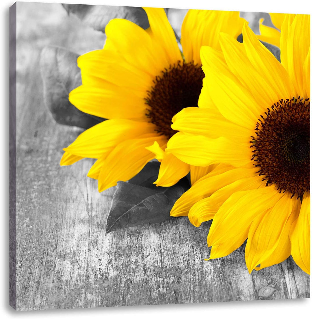 Pixxprint schöne Sonnenblumen auf Holztisch schwarz/weiss, Format: 70x70 auf Leinwand, 70x70