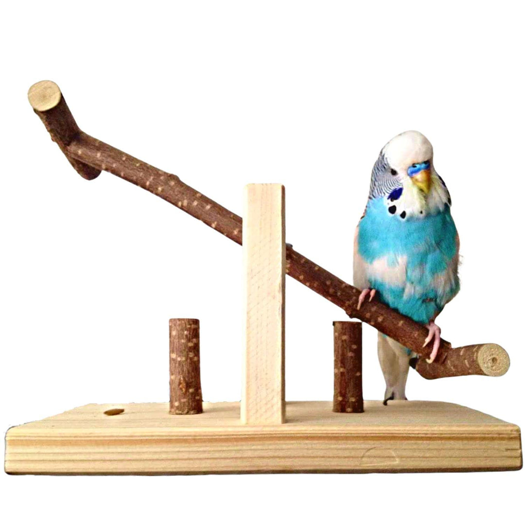 Vogelgaleria® Tolle Vogelwippe BZW. Vogelschaukel aus Naturholz. Handgemacht | Tolles Wellensittich