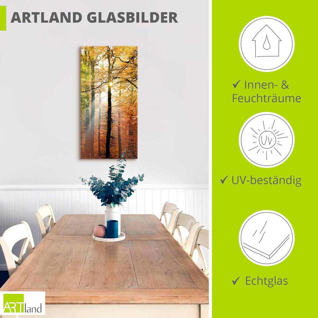 Glasbilder Wandbild Glas Bild einteilig 30x60 cm Hochformat Natur Landschaft Wald Herbst Sonne Bäume
