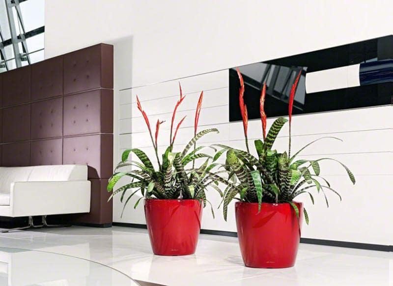 LECHUZA CLASSICO Premium LS 35 scarlet rot hochglanz 16067 36x36x32.5 cm Scarlet Rot Hochglanz Einze