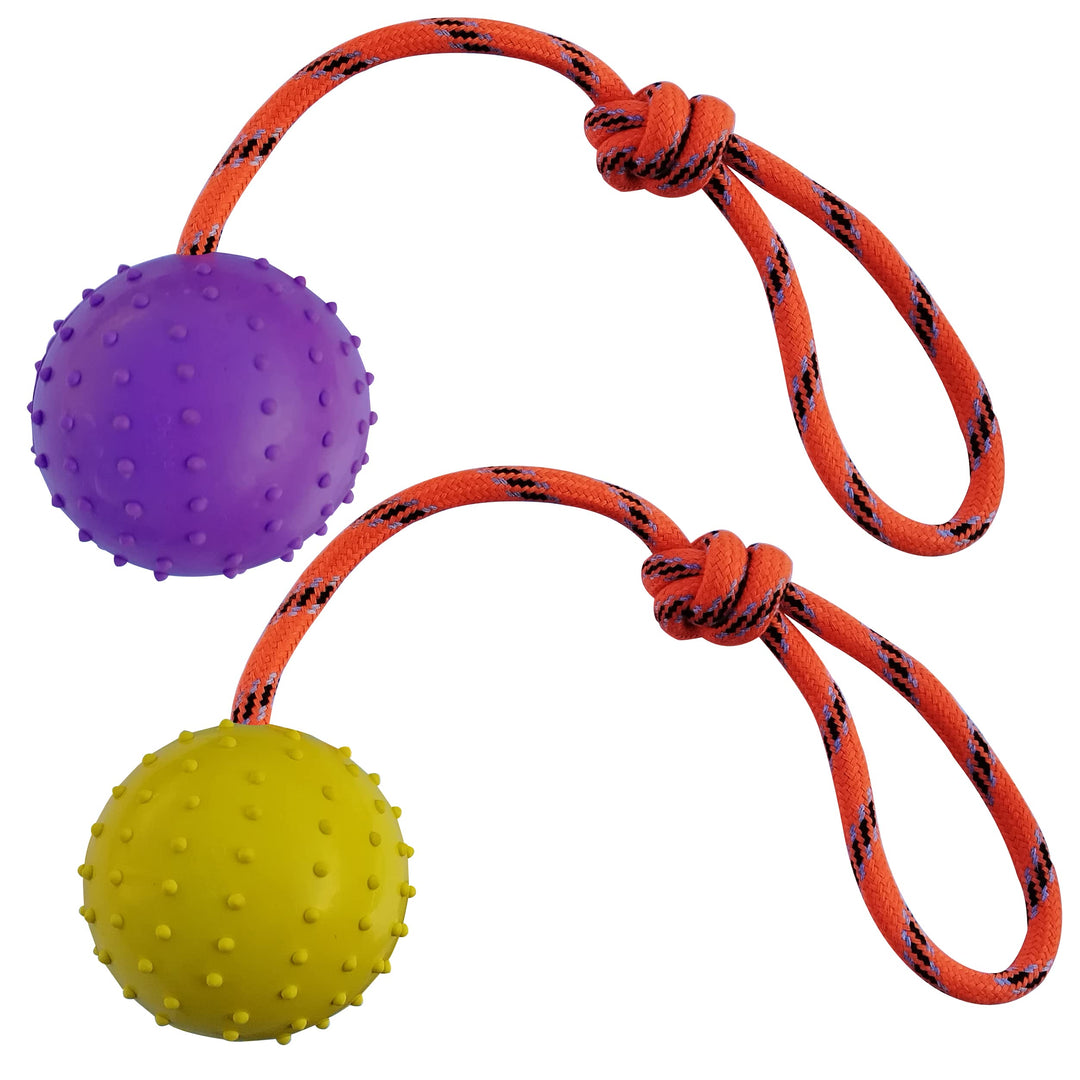 2Pcs Ball am Seil für Hunde und Katzen，trainingsball mit Seil,Hohlkugel aus Naturgummi Für Apportier