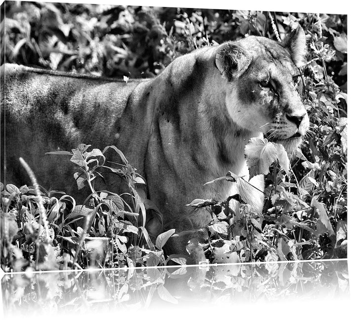 Monocrome, wachsame Löwin, Format: 100x70 auf Leinwand, XXL riesige Bilder fertig gerahmt mit Keilra