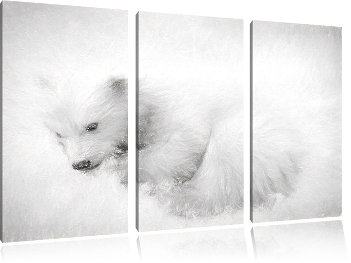Pixxprint Eisbär im Schnee / 3-Teilig/Gesamtmass 120cm Leinwandbild bespannt auf Holzrahmen/Wandbild