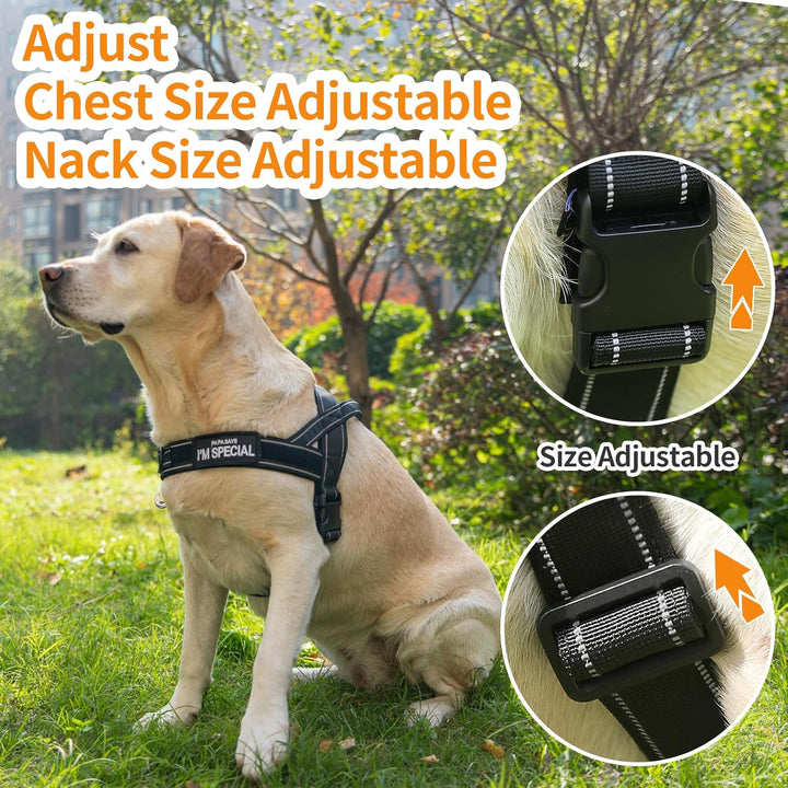 Eeyfarog No Pull Hundegeschirr für kleine mittelgrosse Hunde, reflektierend ausbruchsicher verstellb
