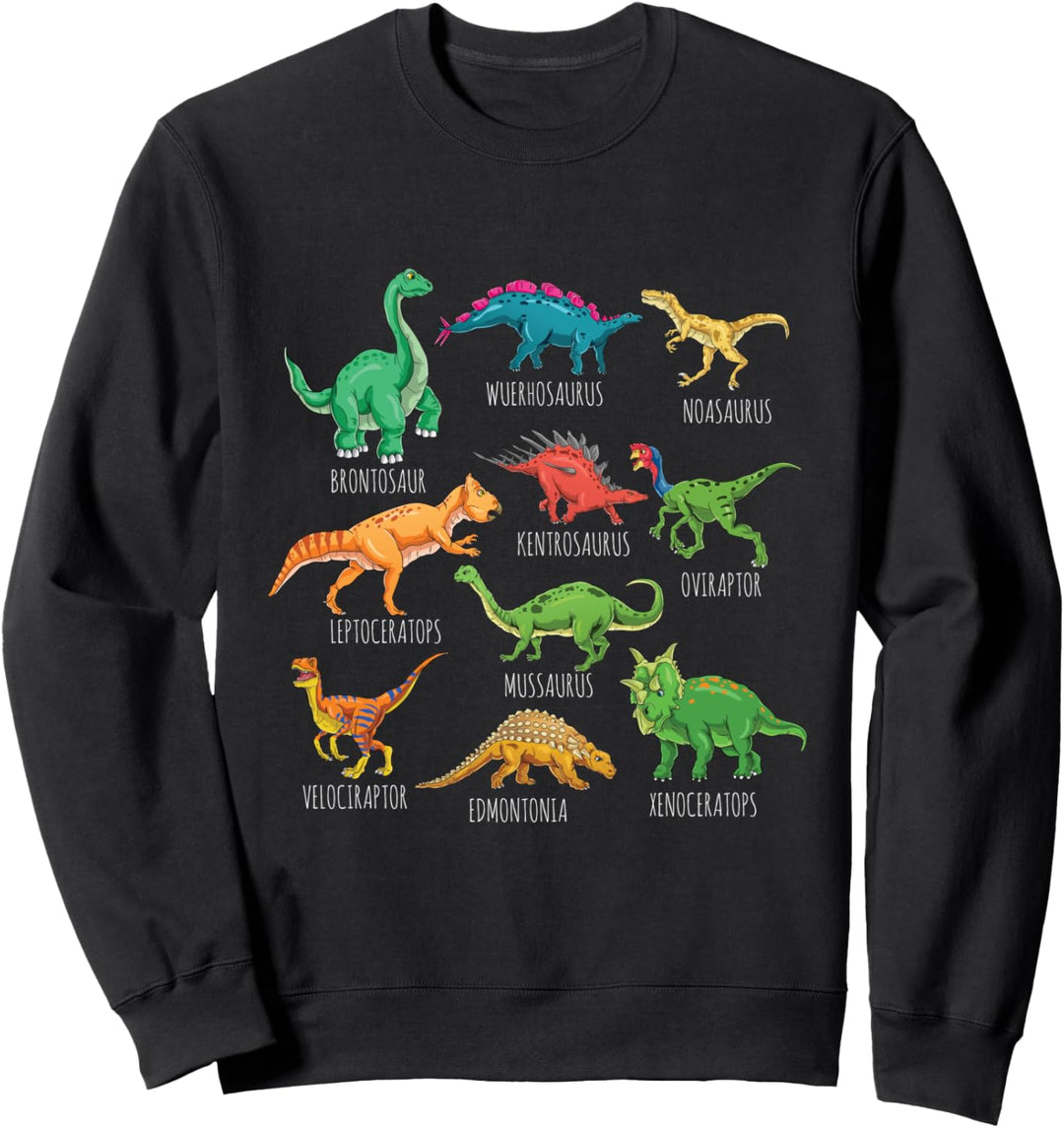 Dinosaurier-Arten Grafiken Dino T-Rex Jungen Dinosaurier Sweatshirt