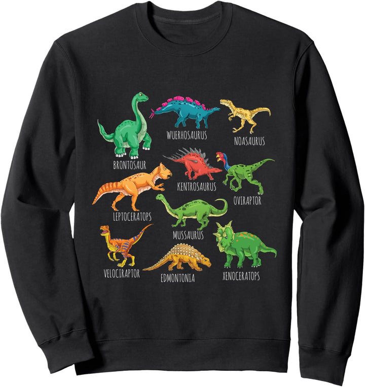 Dinosaurier-Arten Grafiken Dino T-Rex Jungen Dinosaurier Sweatshirt