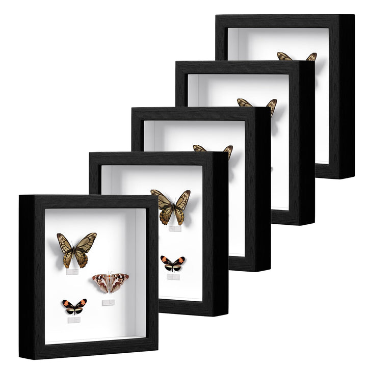 EUGAD 5er Set Bilderrahmen Fotogalerie, tiefer Rahmen für Objekte bis 3 cm, Holzrahmen mit Papier-Pa