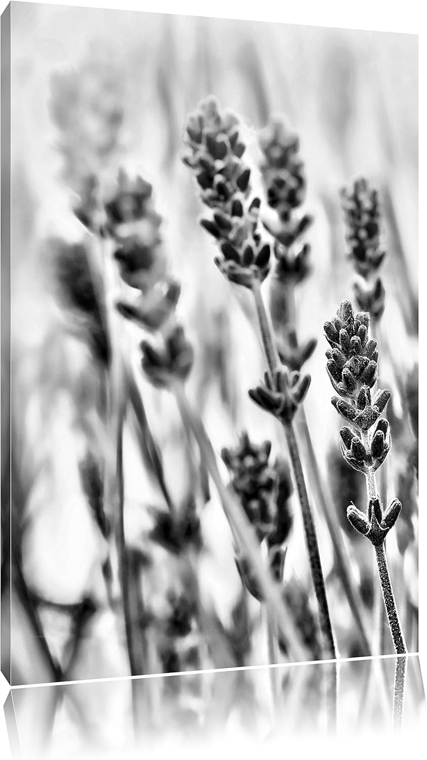 Monocrome, Lavendel , Format: 100x70 auf Leinwand, XXL riesige Bilder fertig gerahmt mit Keilrahmen,